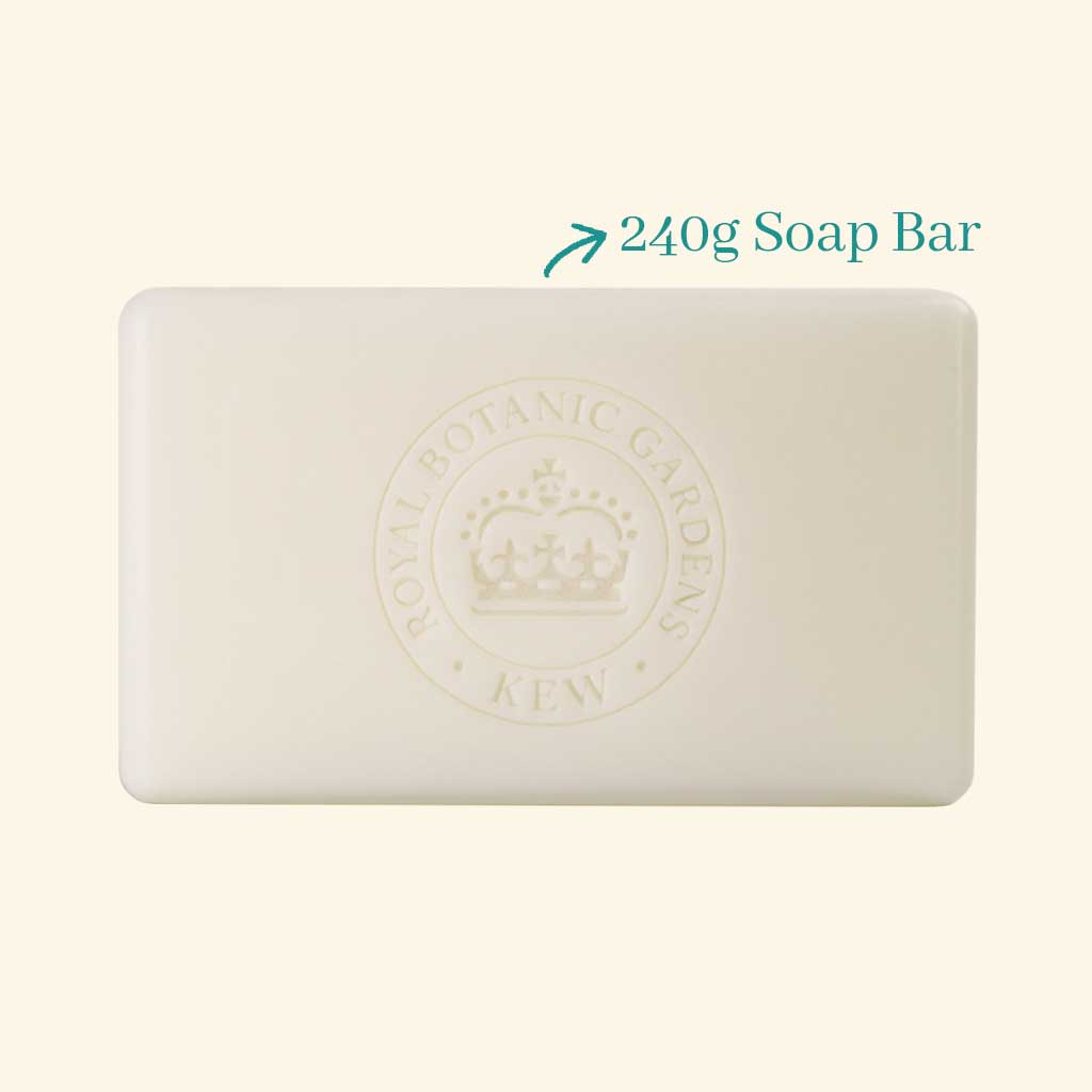 240g soap bar with a brand logo on a white background - The Fig House
